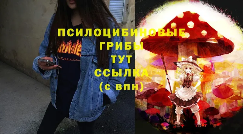 Галлюциногенные грибы Cubensis  хочу   Анапа 